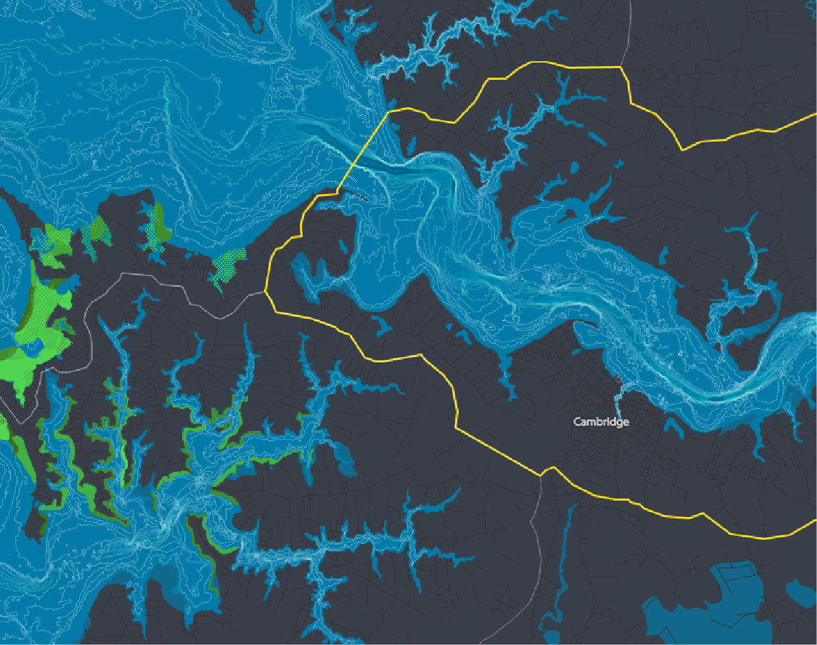 Chesapeake Bay Grasses