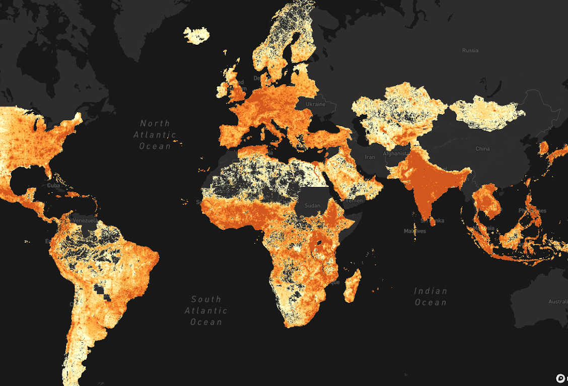 population density of the world 2022