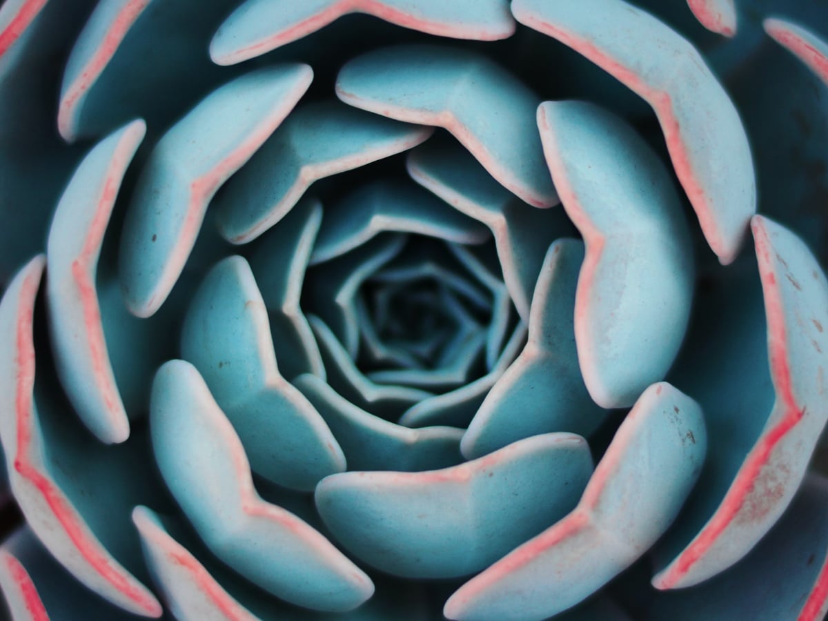 Data Hierarchy Best Practices to Elevate Your Data Visualizations | Stamen